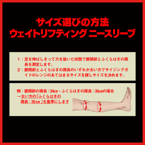 Nova ウェイトリフティングニースリーブ