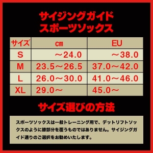 Eclipse(エクリプス) スポーツソックス