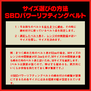 試着用パワーリフティングベルト10mm